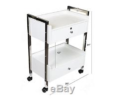 Dental Medical Mobile Utility Cabinet & Cart (Steel Frame)