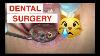 Dental Surgery
