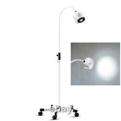 Floor Stand Mobile 21W Surgical Medical Dental LED Exam Light Lamp Examination