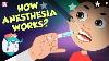 How Does Anesthesia Work Types Of Anesthesia Dr Binocs Show Peekaboo Kidz