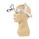 Medical Surgical Dental Binocular Loupes Glasses Magnifier 5w Led 3.5x 420mm