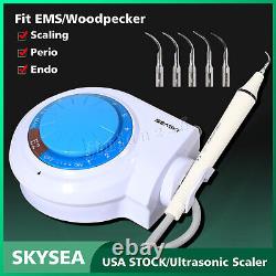 22L Stérilisateur à vapeur sous vide pour autoclave médical dentaire / Piézo-ultrasonique Scaler