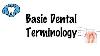 Terminologie Dentaire De Base